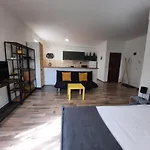 Apartman Pif Sadoveanu *