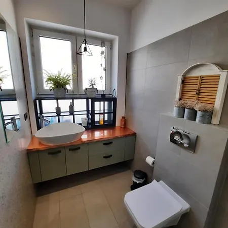 Pif Sadoveanu Braşov