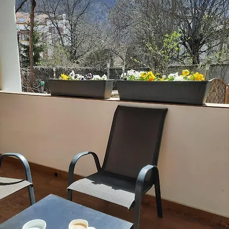 Apartment Pif Sadoveanu *