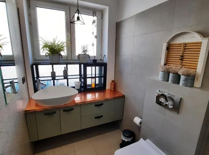 Pif Sadoveanu Brasov