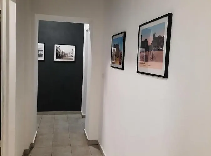 Pif Sadoveanu Brasov