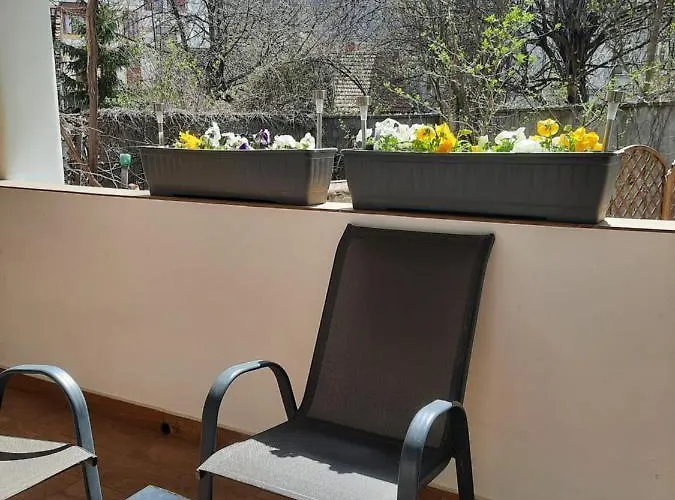 Apartment Pif Sadoveanu *