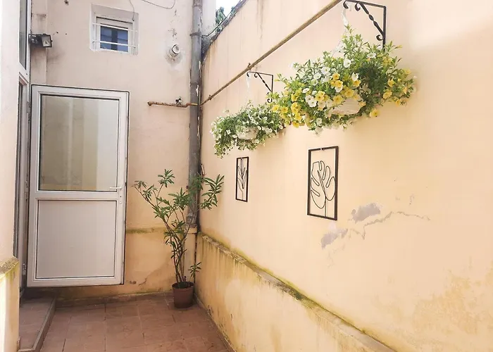 Pif Sadoveanu * Brasov